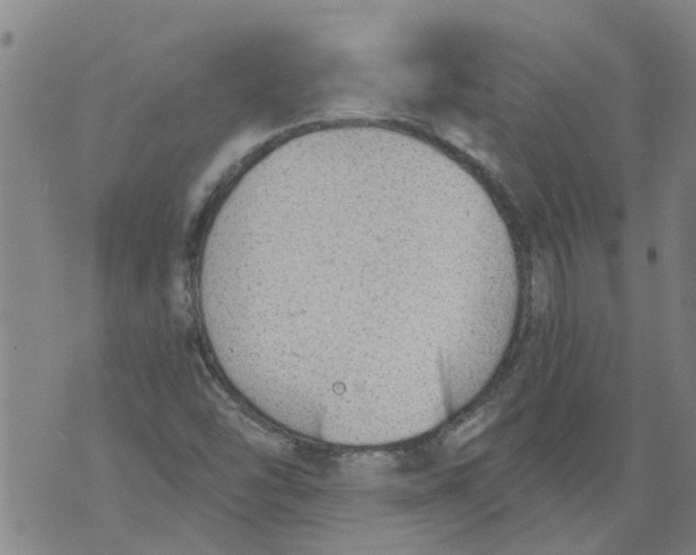 X0000073891454200609082111