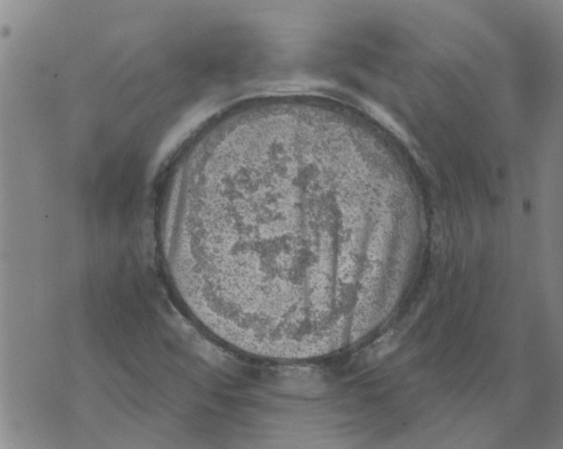 X0000073891456200609082111