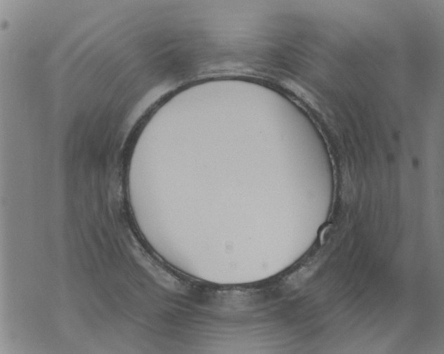 X0000073891458200609082111