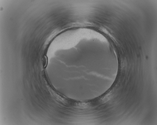 X0000073891459200609082111