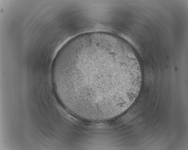 X0000073891460200609082111