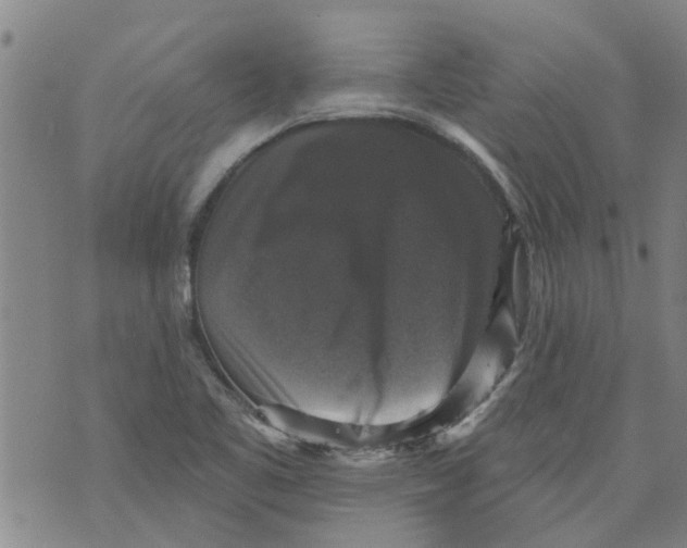 X0000073891461200609082111