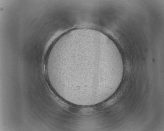 X0000073891462200609082111