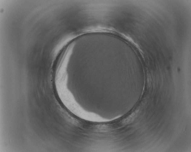 X0000073891463200609082111