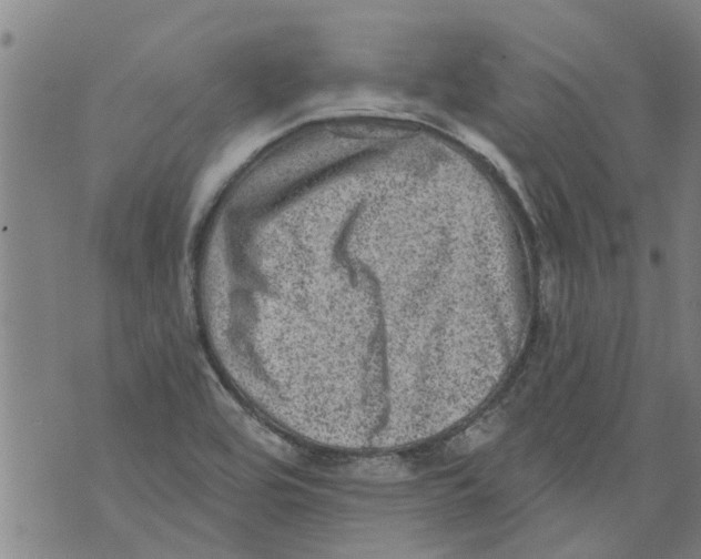 X0000073891464200609082110