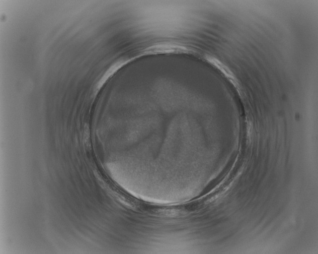 X0000073891465200609082110