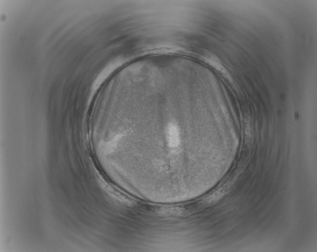 X0000073891466200609082110