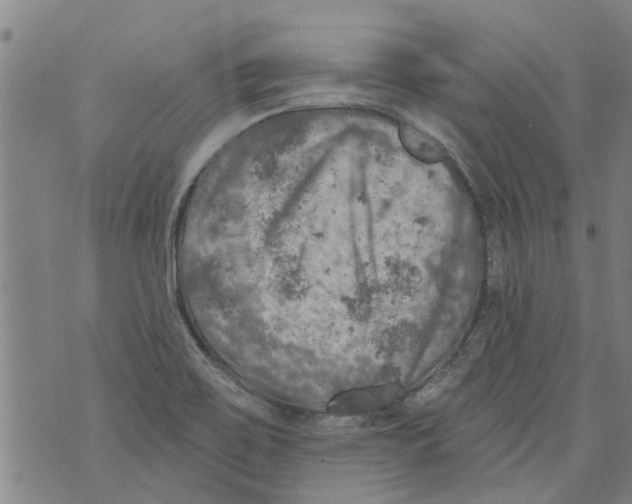 X0000073891467200609082110