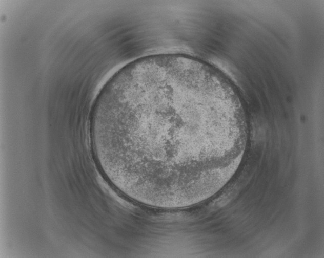 X0000073891468200609082110