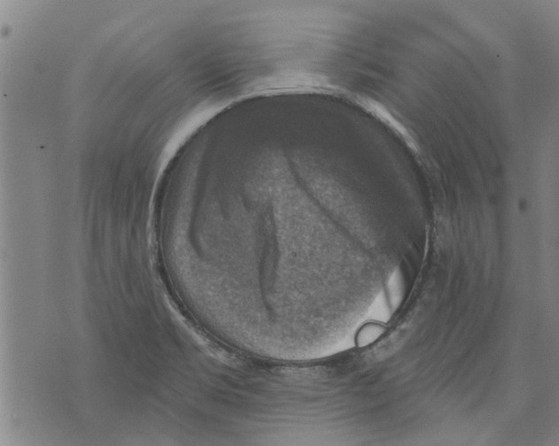 X0000073891469200609082110