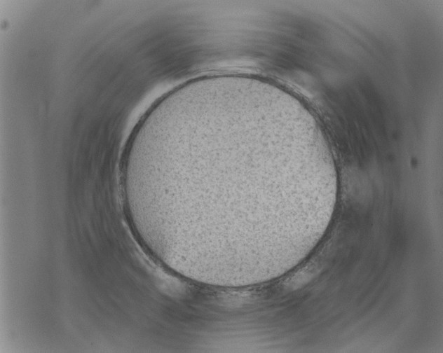 X0000073891470200609082110