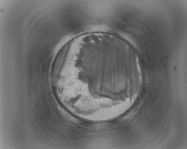 X0000073891471200609082110