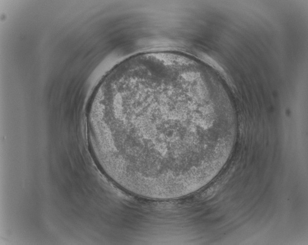 X0000073891472200609082110