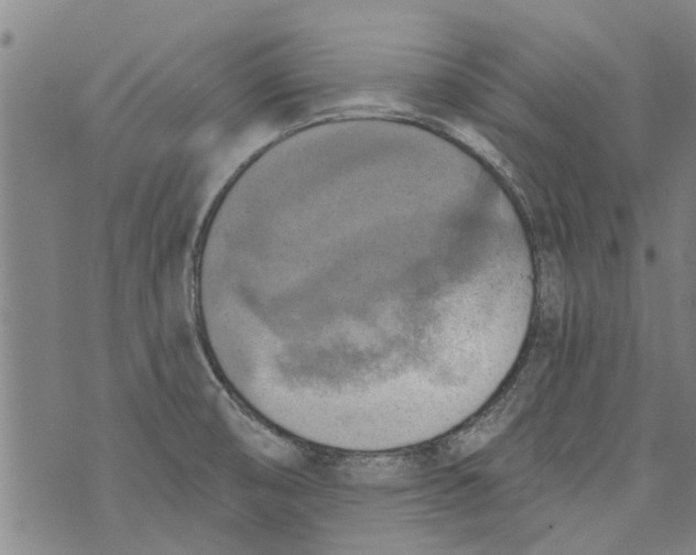 X0000073891474200609082110