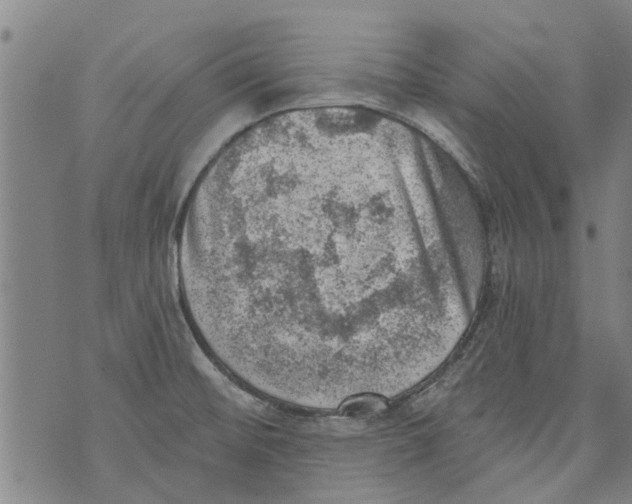 X0000073891476200609082110