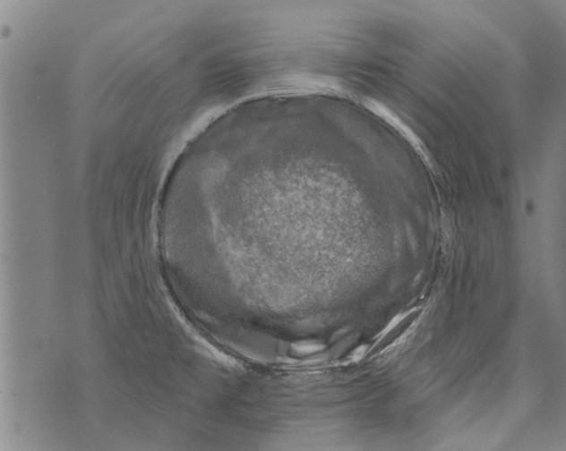 X0000073891477200609082110