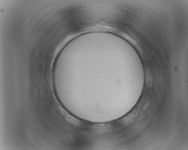 X0000073891478200609082110