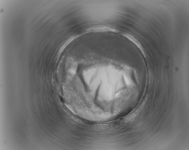 X0000073891481200609082110