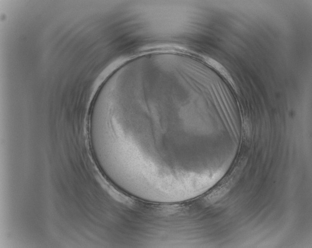 X0000073891482200609082110