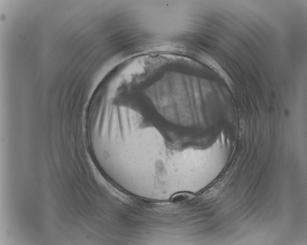 X0000073891483200609082110