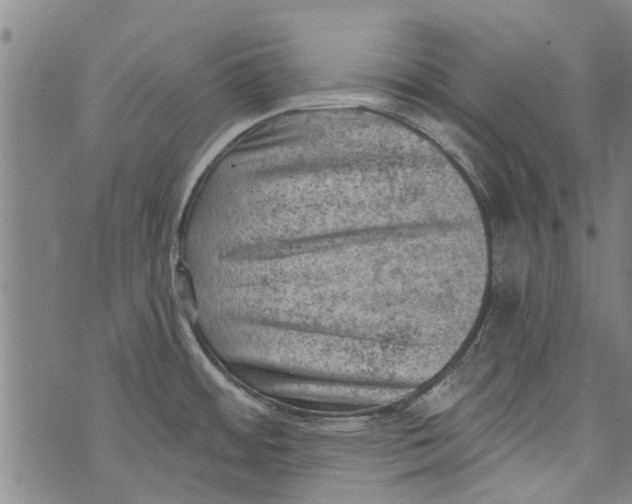 X0000073891484200609082110