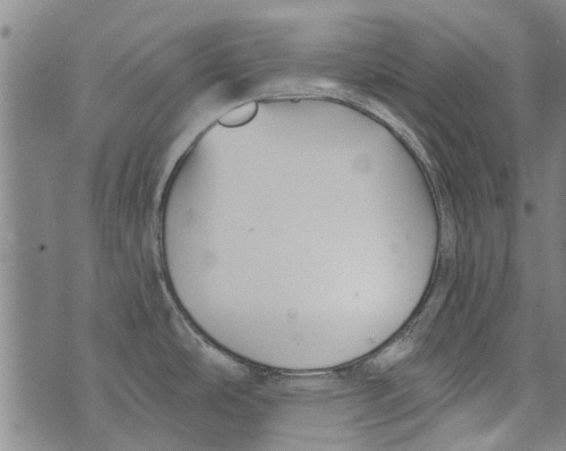 X0000073891486200609082110