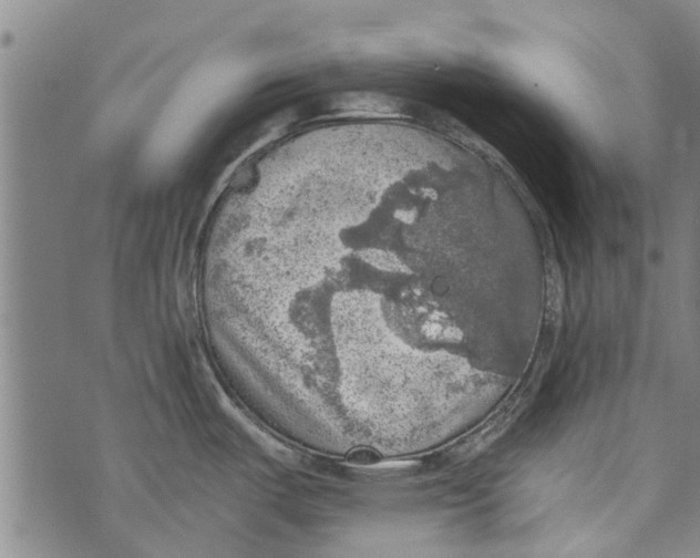 X0000073891487200609082110