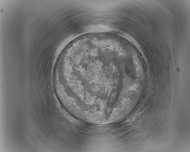 X0000073891488200609082110