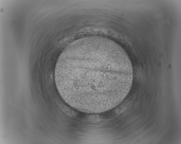 X0000073891489200609082109