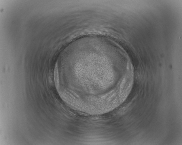 X0000073891490200609082109