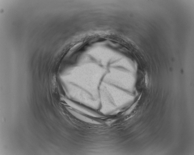 X0000073891492200609082109