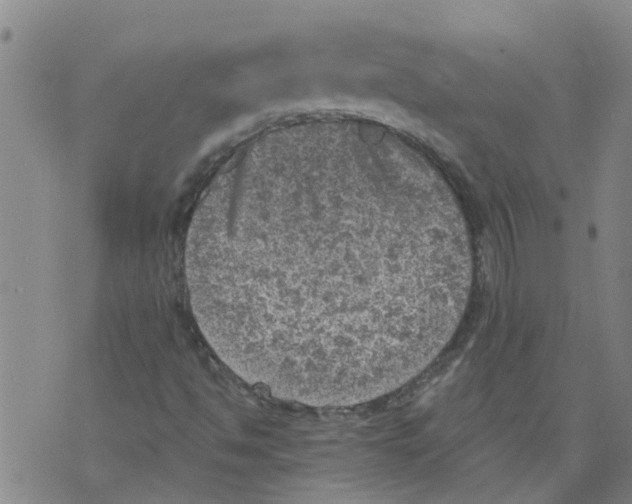 X0000073891494200609082109