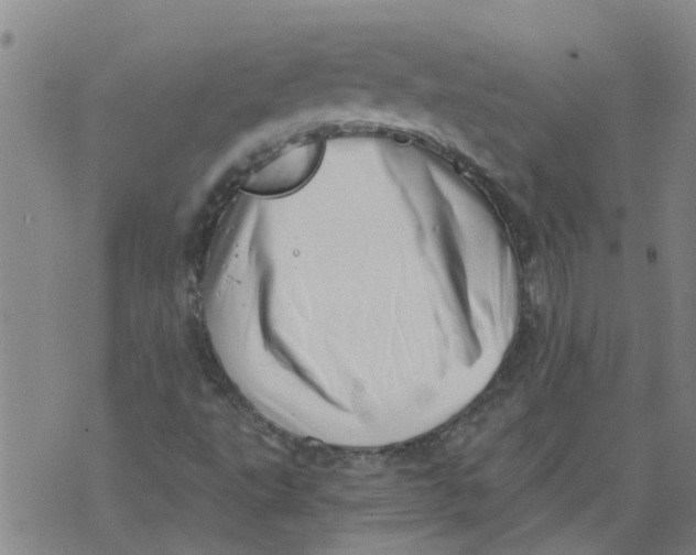 X0000073891495200609082109