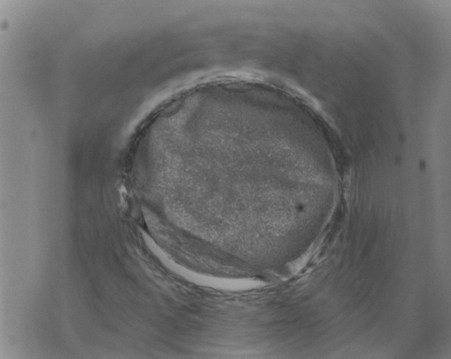 X0000073891496200609082109