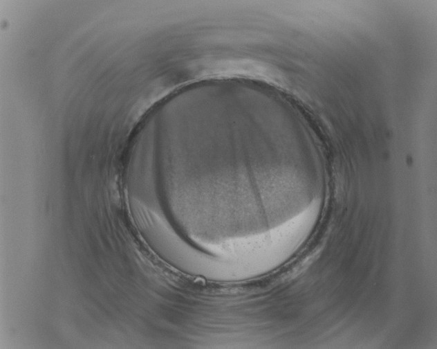 X0000073891497200609082109