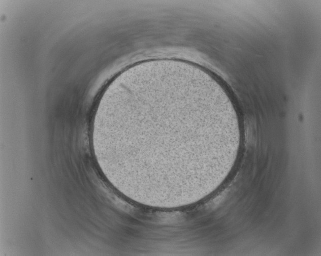 X0000073891498200609082109