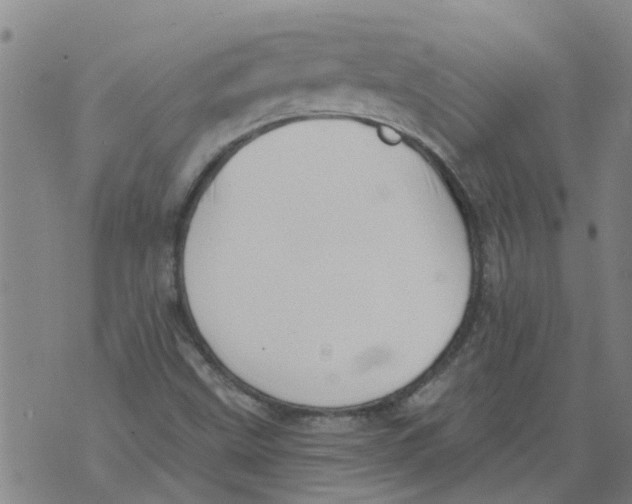 X0000073891499200609082109