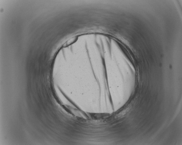 X0000073891500200609082109