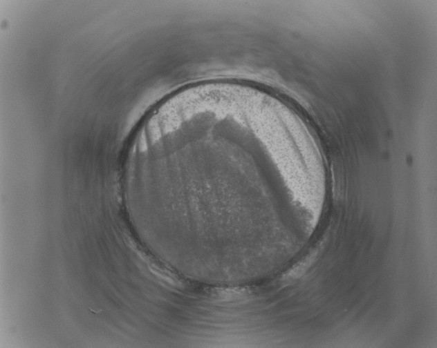 X0000073891501200609082109