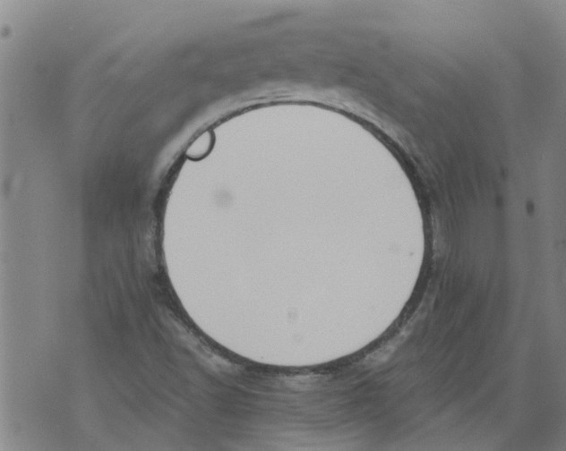 X0000073891502200609082110