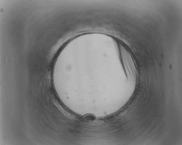 X0000073891503200609082110