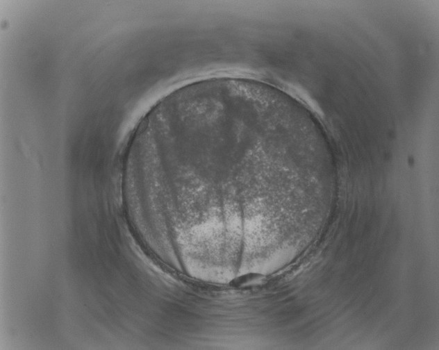 X0000073891504200609082110