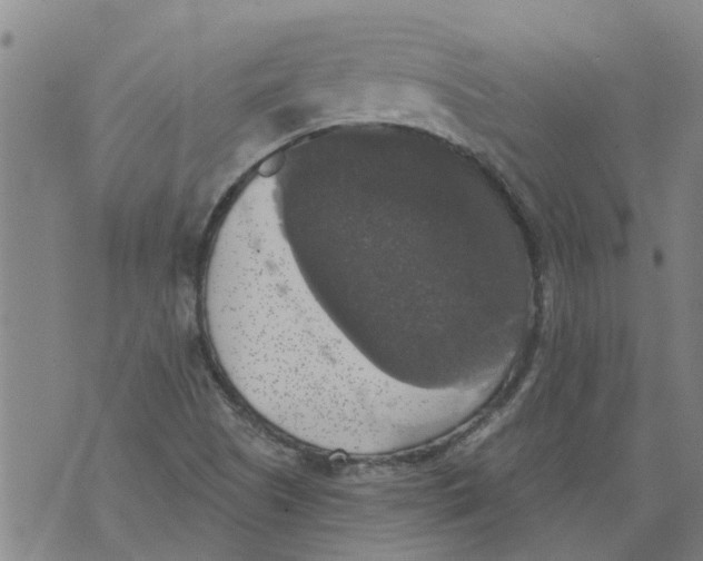 X0000073891505200609082110