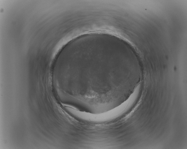 X0000073891506200609082110