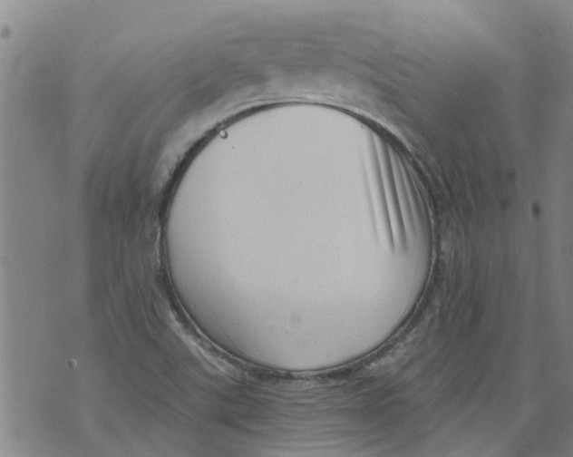 X0000073891507200609082110