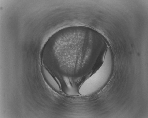 X0000073891508200609082110