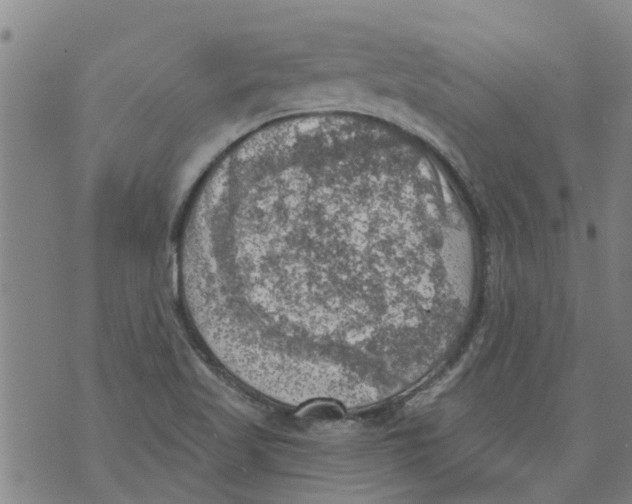 X0000073891509200609082110