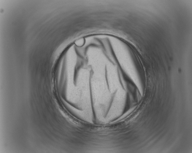 X0000073891511200609082110