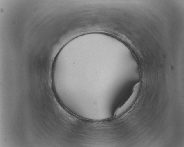 X0000073891512200609082110