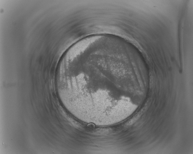 X0000073891513200609082110